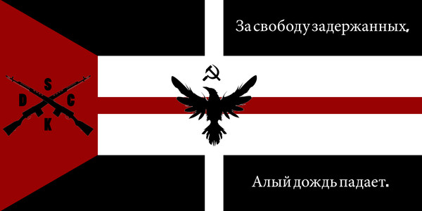 Flag concept 1