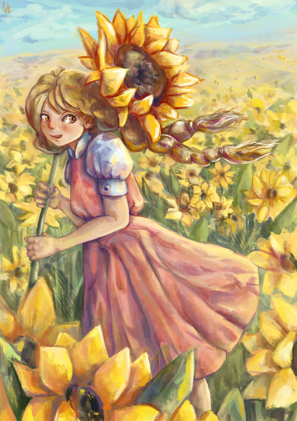 sunflowers