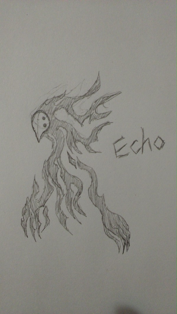 Echo