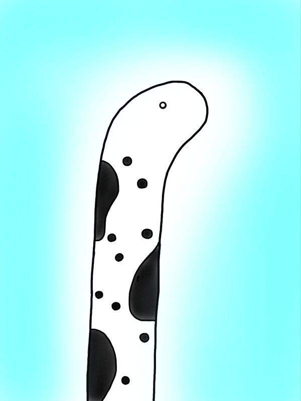 チンアナゴさん