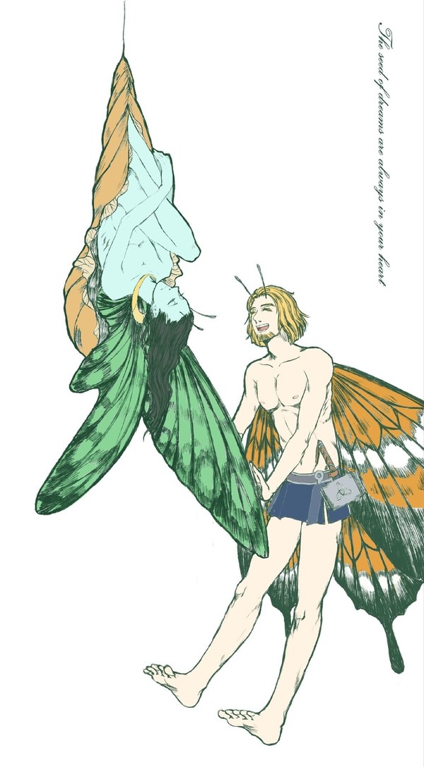 butterfly