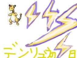 11/1はデンリュウの日!