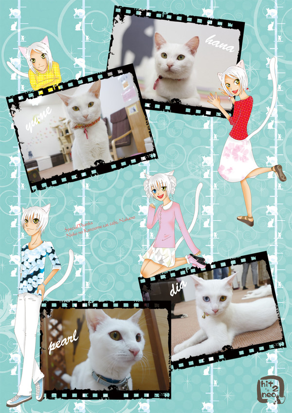 もっと☆しろねこ