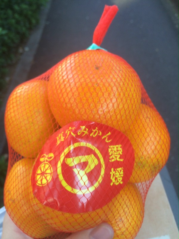 蜜柑
