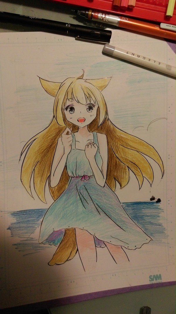 海