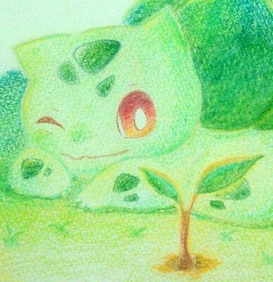 フシギダネ
