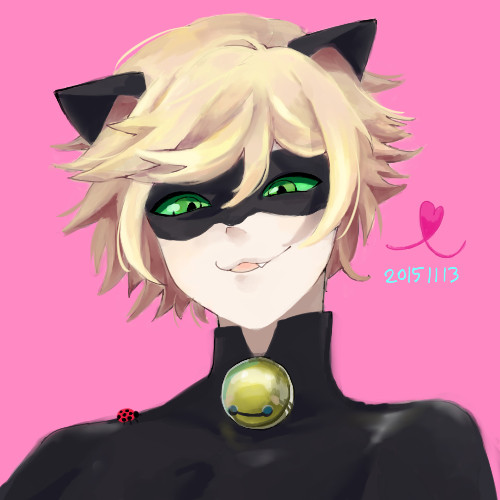 Black cat