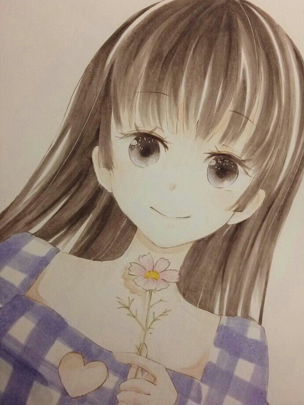 コスモス