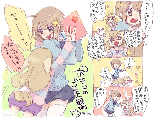 ポチコのご主人観測