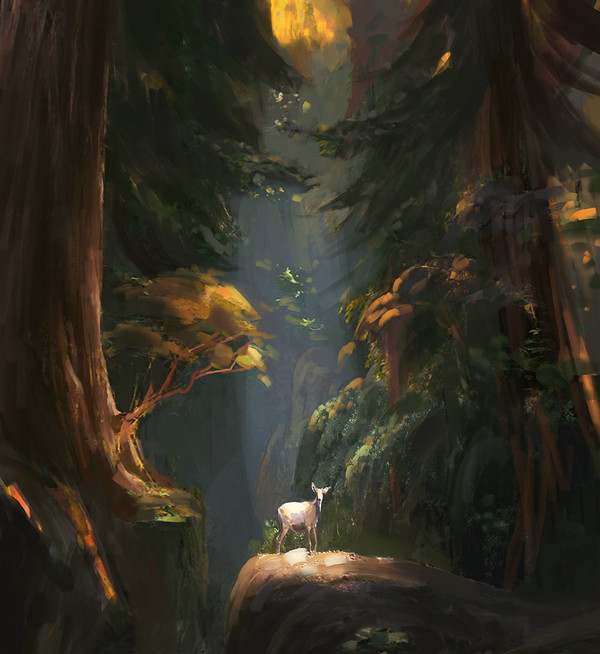 Pine Forest Sketch