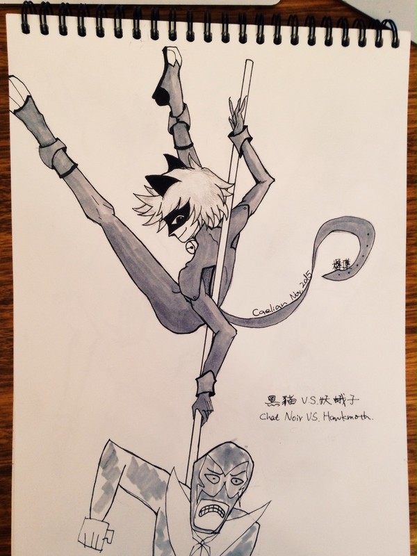 Chat Noir VS Hawkmoth 黑猫对妖蛾子