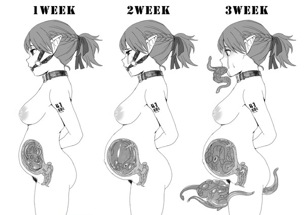 胎内観察日記_01_被験体NO.43「セルオクトパス」
