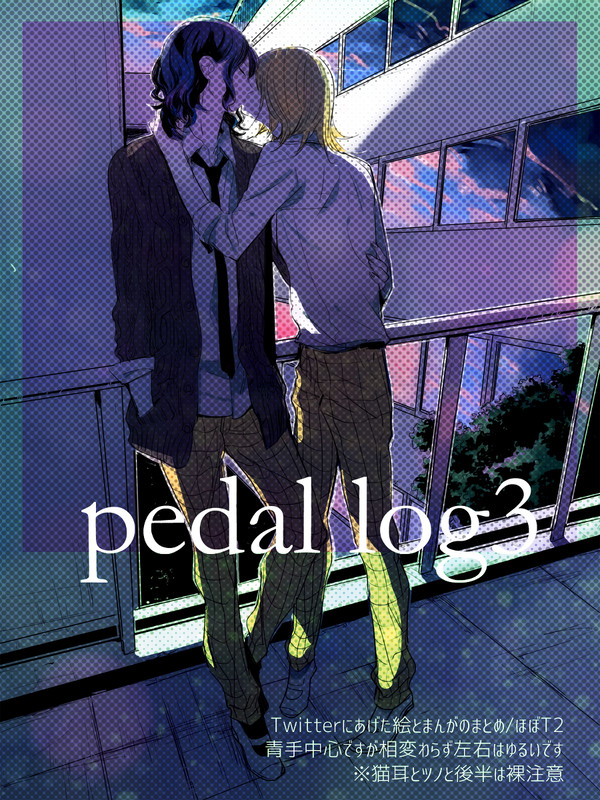 ペダルログ③