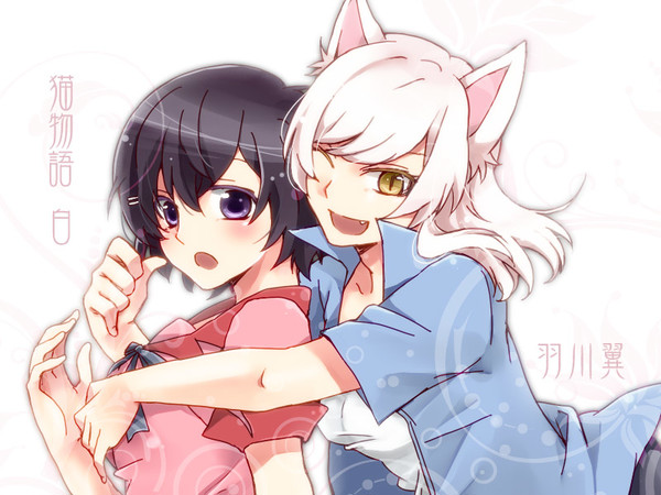 猫白