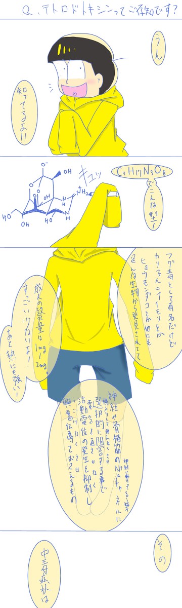 十四松とTTX(テトロドトキシン)の話