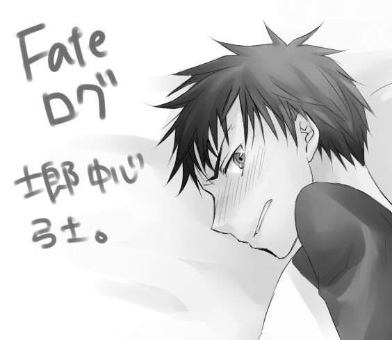Fateログ。