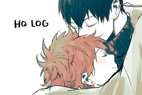 HQ LOG IV