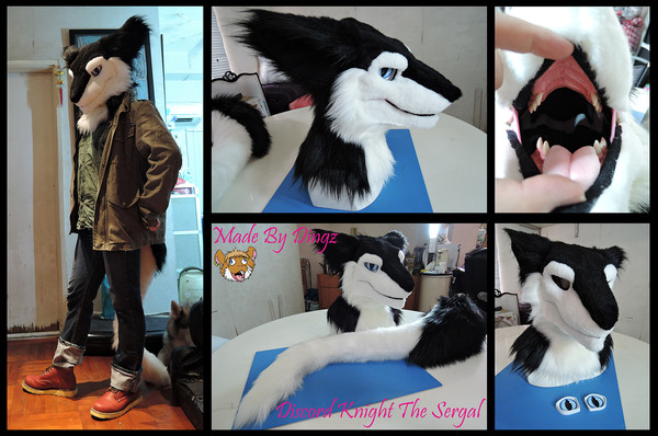 Discord Knight the Sergal