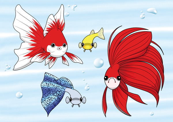 観賞魚