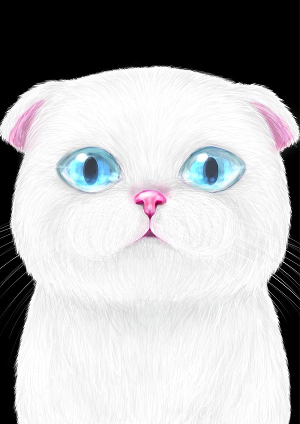 にゃんこ
