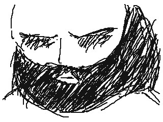 LISAらくがき