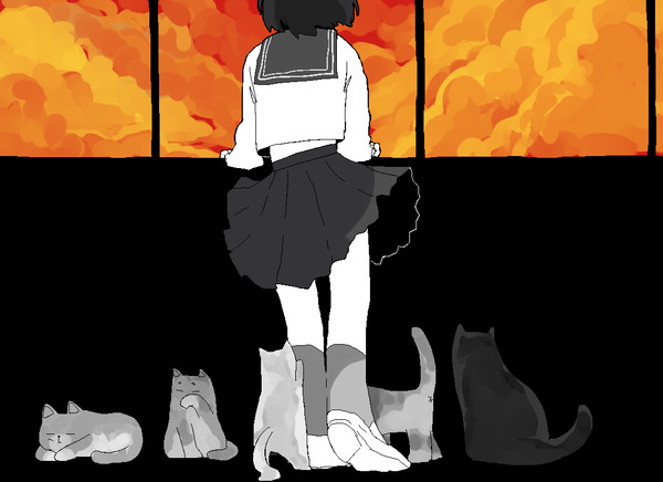 猫と夕映え