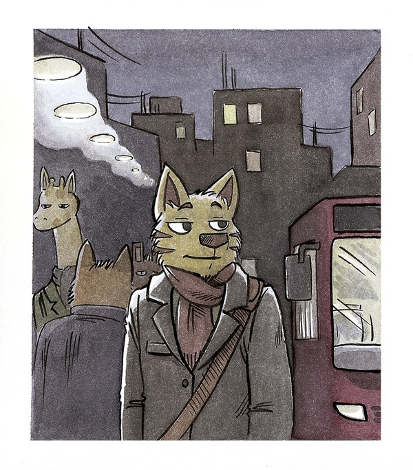 Night cat