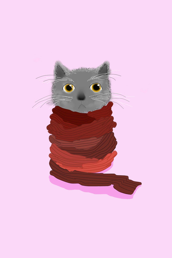 猫