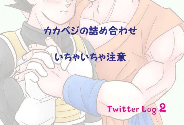 カカベジついログ2