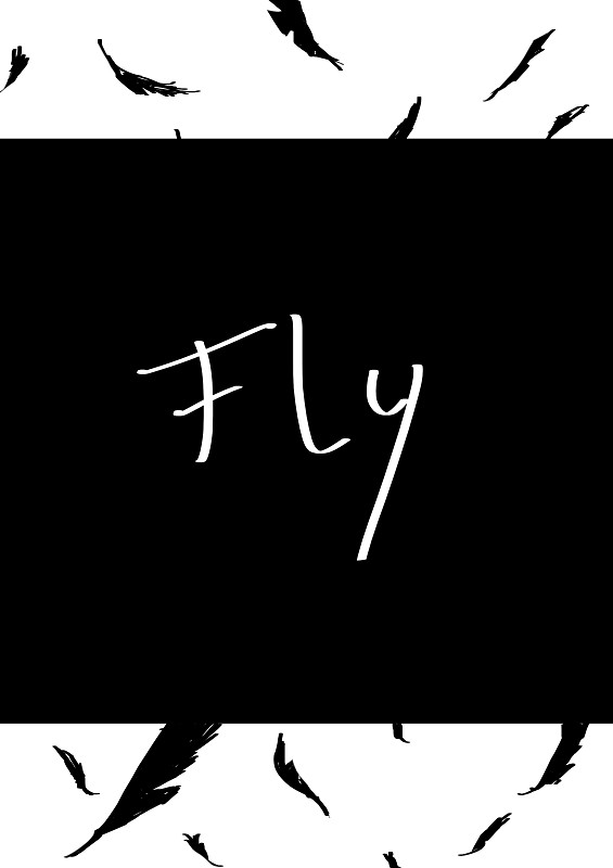 Fly