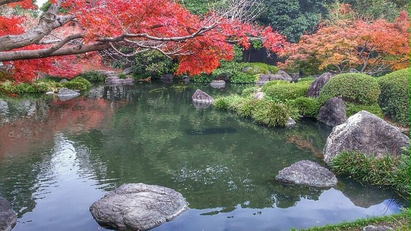 池のある公園