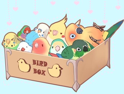 Bird box