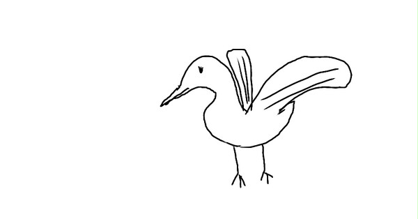 飛び立とうとする鳥くん
