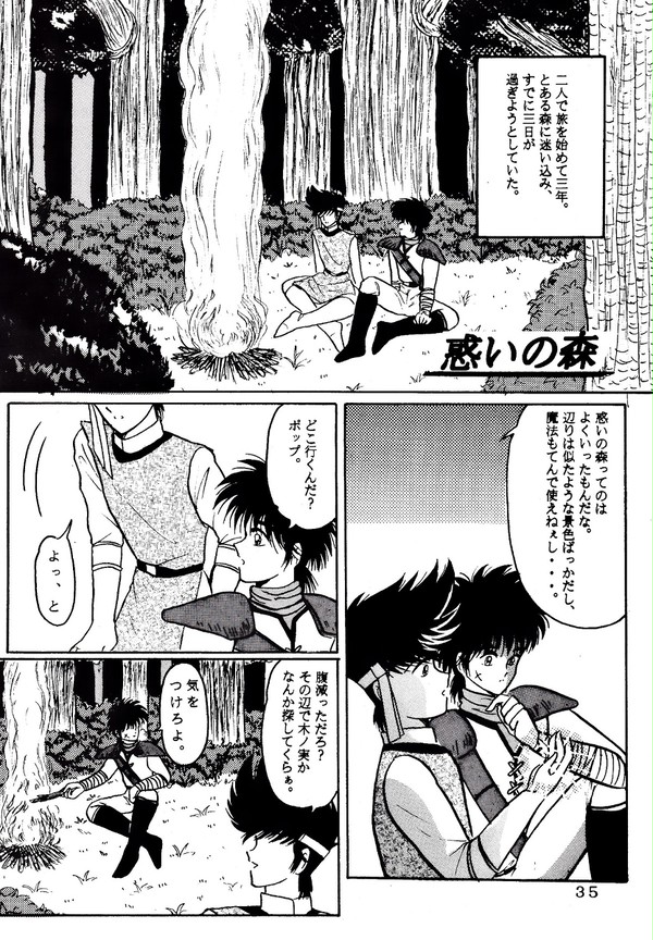 惑いの森