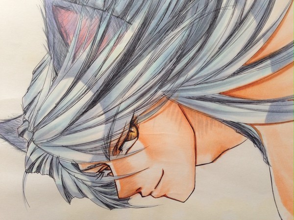 過去イラ 妖狐 蔵馬 手描き