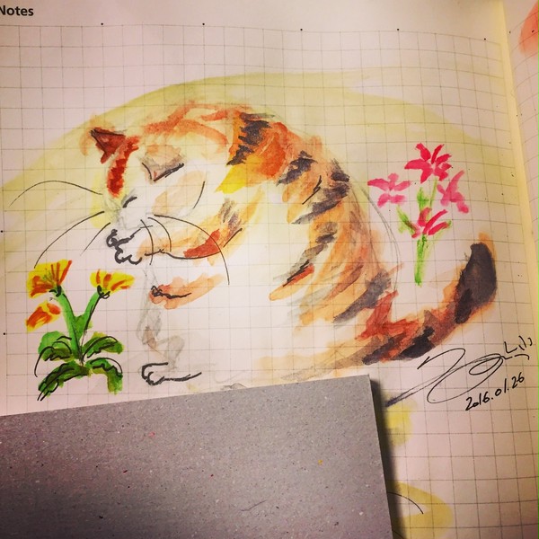 ねこ