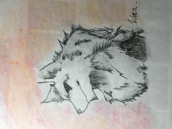 狼獣人