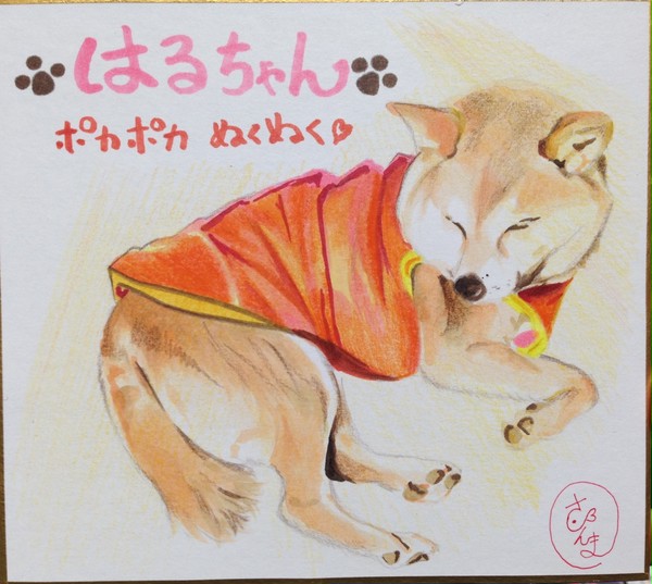 暖かくなりましたね