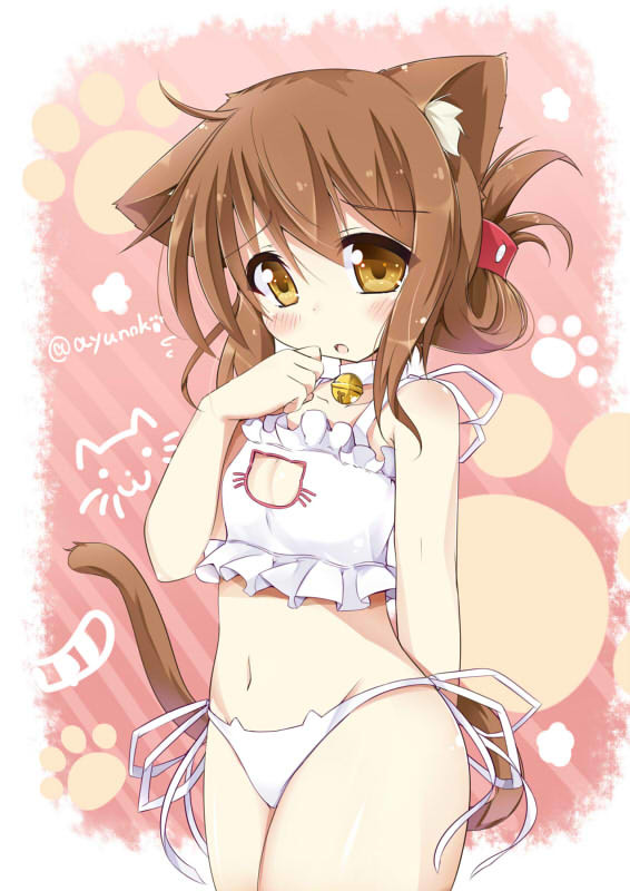 猫ランジェリー電ちゃん