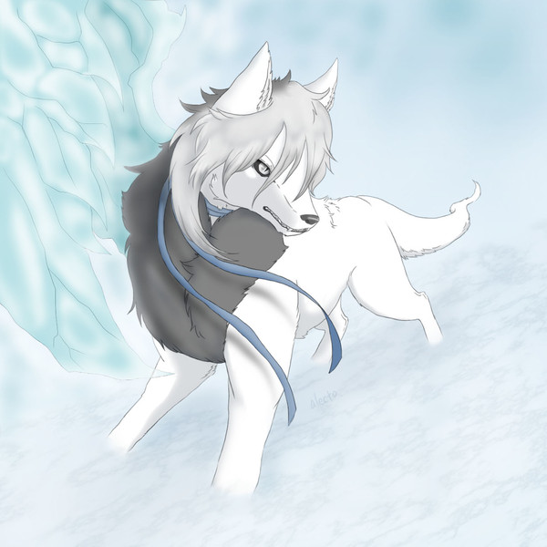wolf