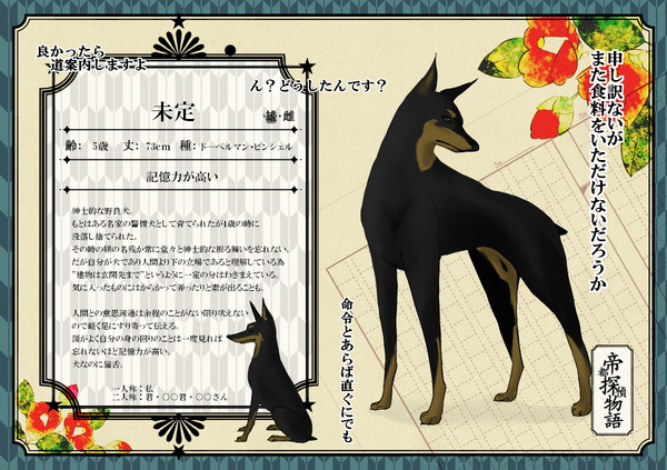 【帝探】ジン【助手】