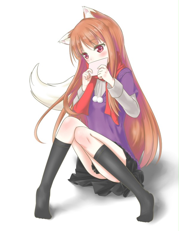ホロ