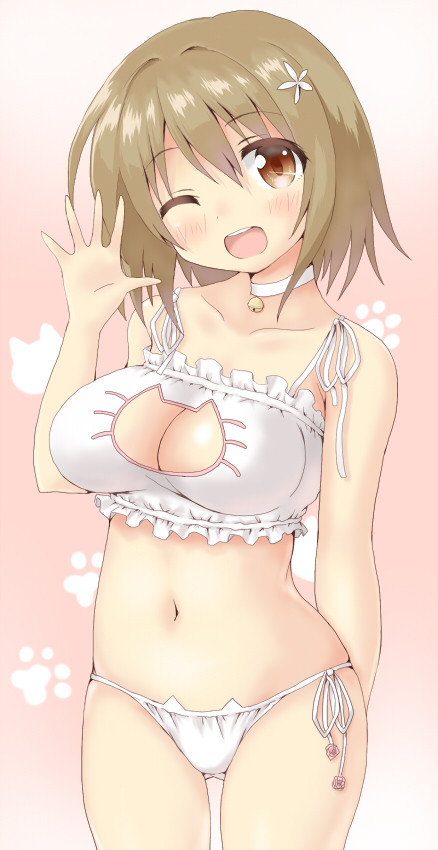 ねこかなこ