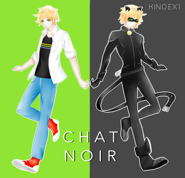 Chat Noir