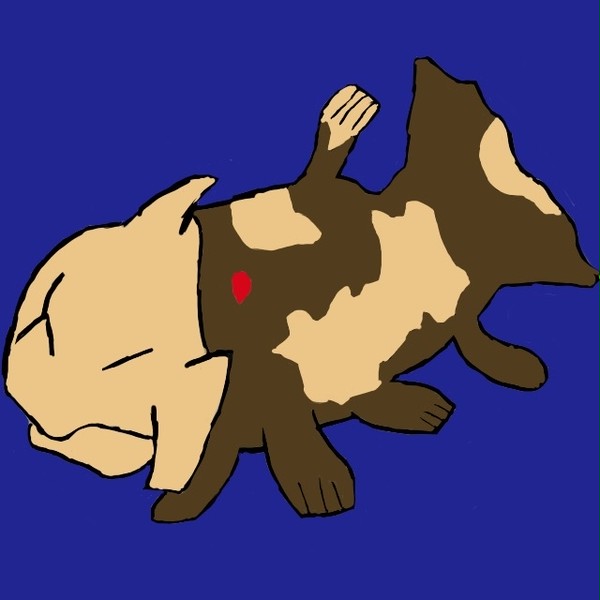 じーらんす