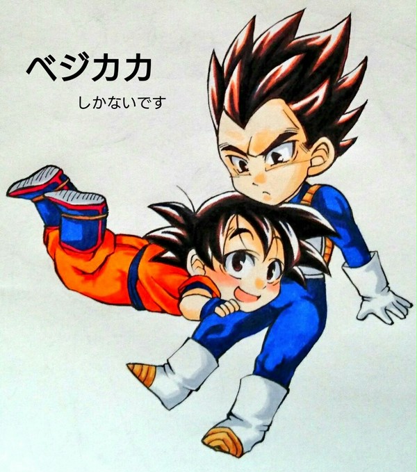 ベジカカ