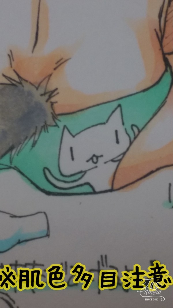 猫の日【HQ!】