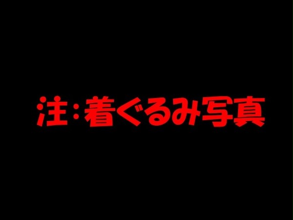 虎水着 for 猫の日 ※着ぐるみ