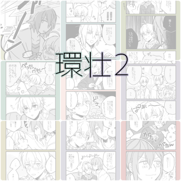 環壮2
