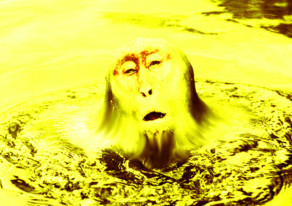 MonkeySlime
